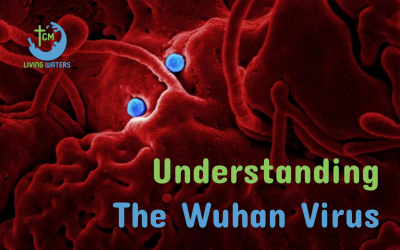 Understanding the Wuhan Virus